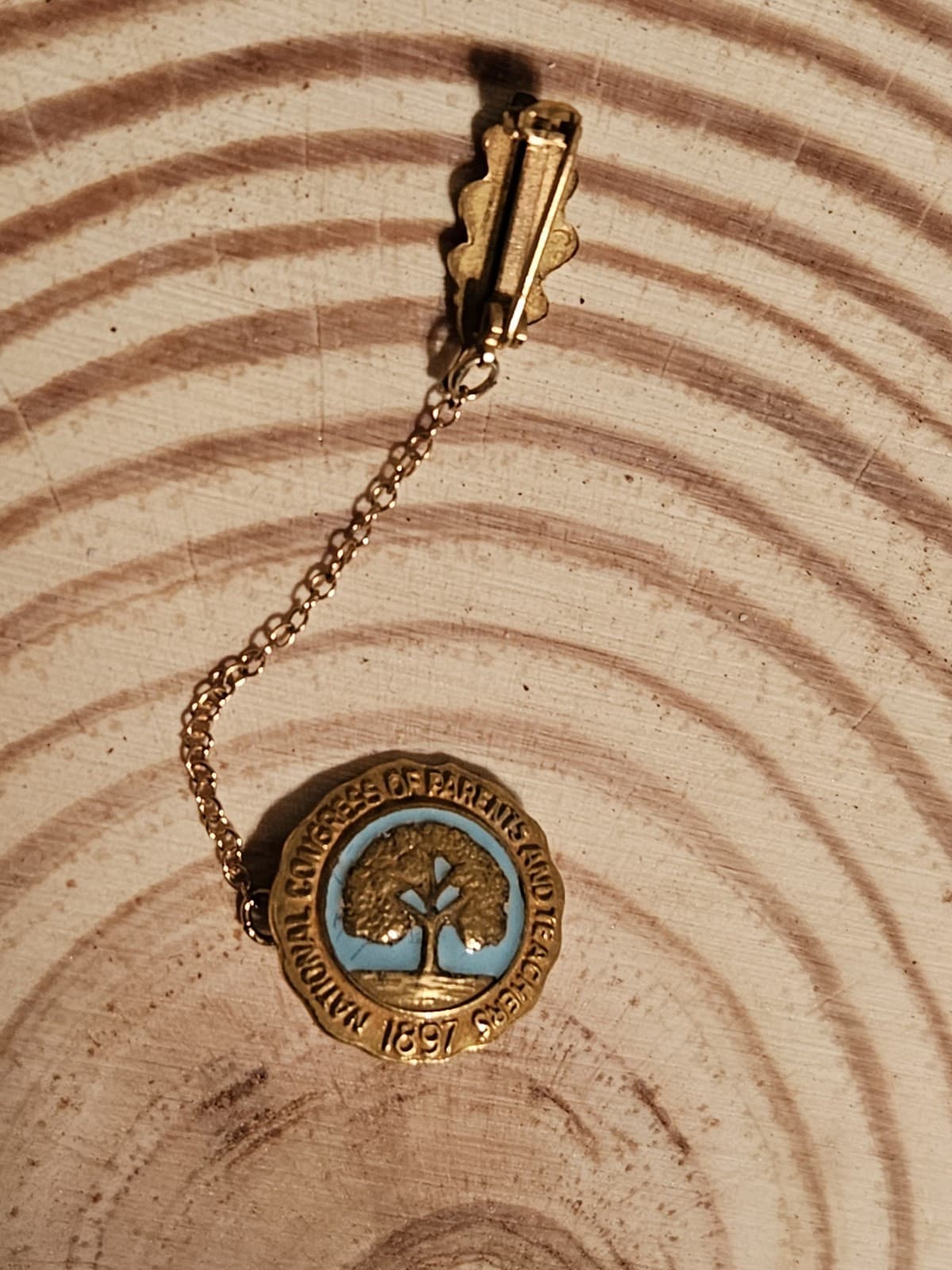 Vintage 10K Gold National Congress Parents Teacher PTA Lapel Pin 1897 California 4