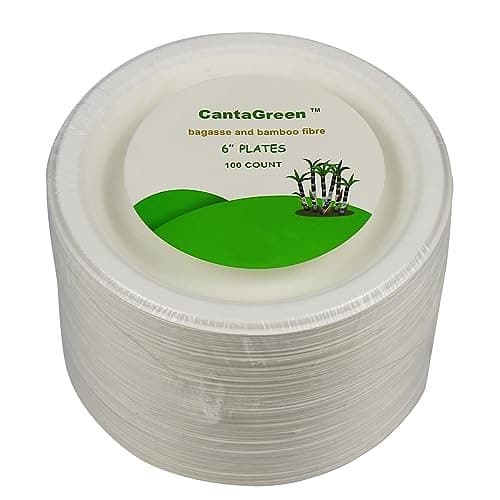 6 inch Small Compostable Dessert Plates,100 Count 4