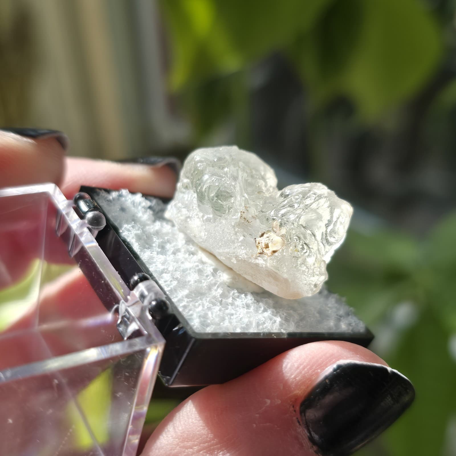 Fluorescent Hyalite Opal Specimen UV Reactive Glass Opal Specimen Perky Box 3