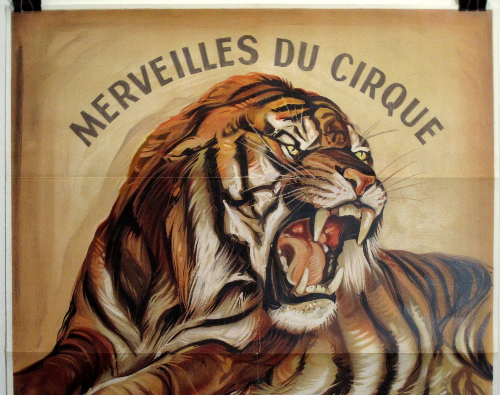 Vintage 1950s KNIE CIRCUS Switzerland 50x36 Stone-Litho TIGER Poster FREE SHIP 2