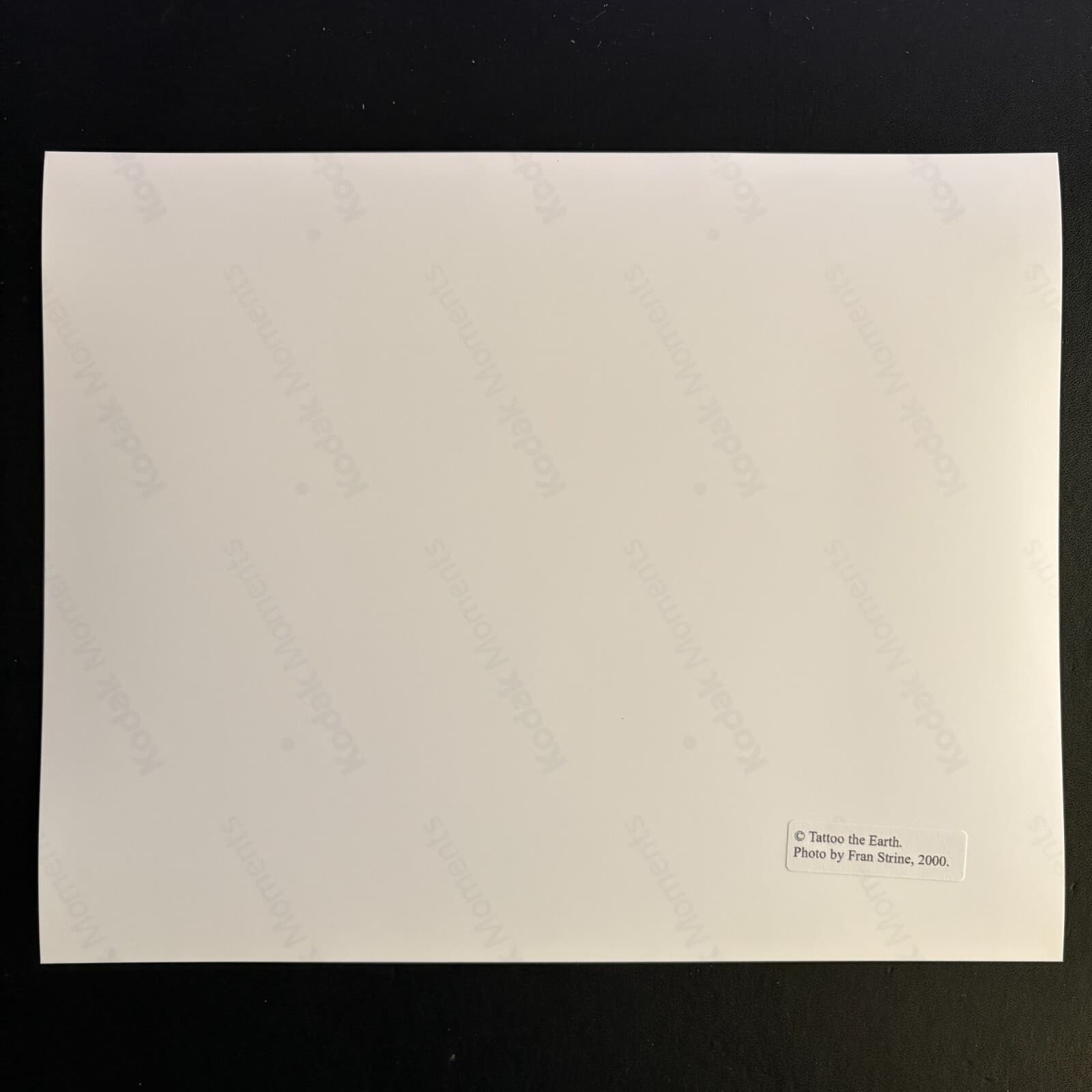 Mudvayne - Chad Gray - Official Tattoo the Earth 2000 Print- 8x10 Photo 2