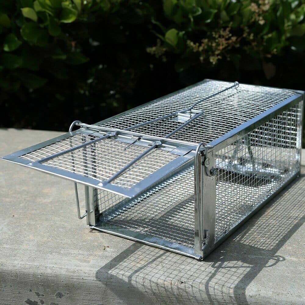 Large Live Humane Cage Trap for Squirrel Chipmunk Rat Mice Rodent Animal Catcher 2