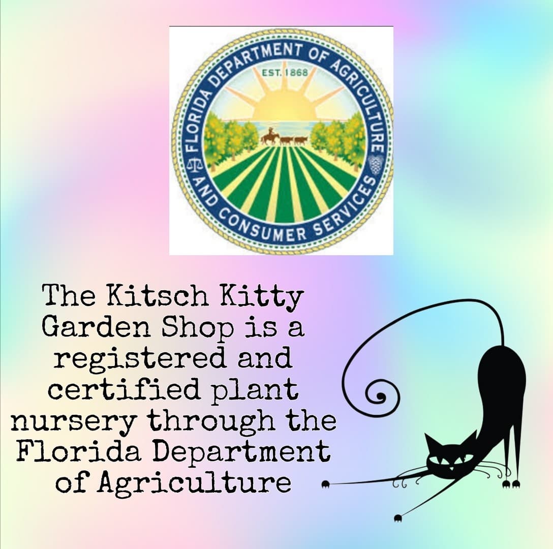 Teal Owl Ceramic Planter Pot Animal Shaped Succulent Flower Pot Halloween Cute 5