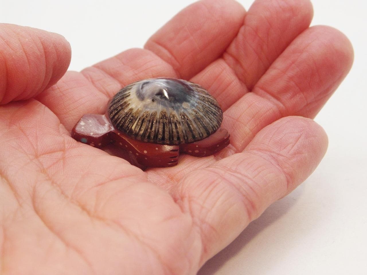 AMOS POOACHA (d), ZUNI PUEBLO TURTLE Tortoise Fetish carving, Pipestone & Shell 4