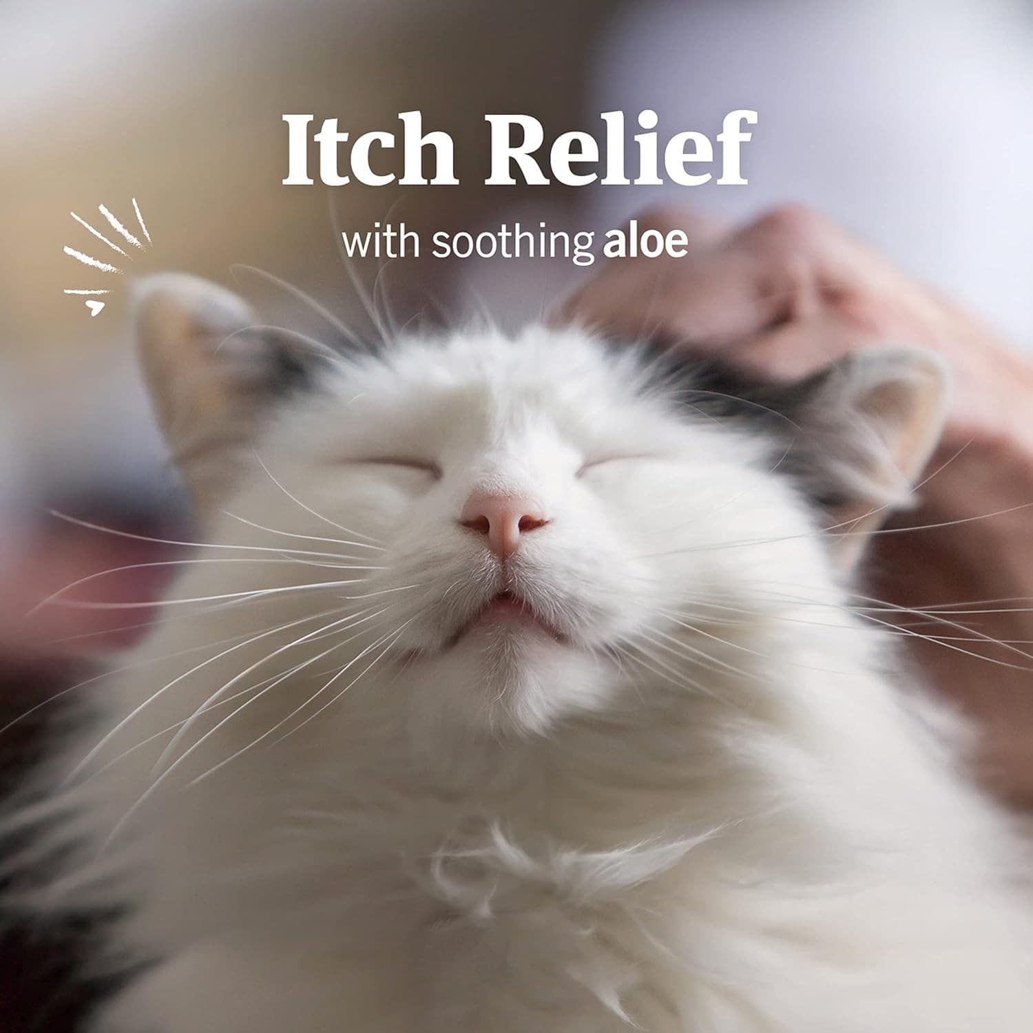 PetArmor Ear Mite Treatment for Cats, Ear Mite Medicine Kills Ticks & Ear Mites 2