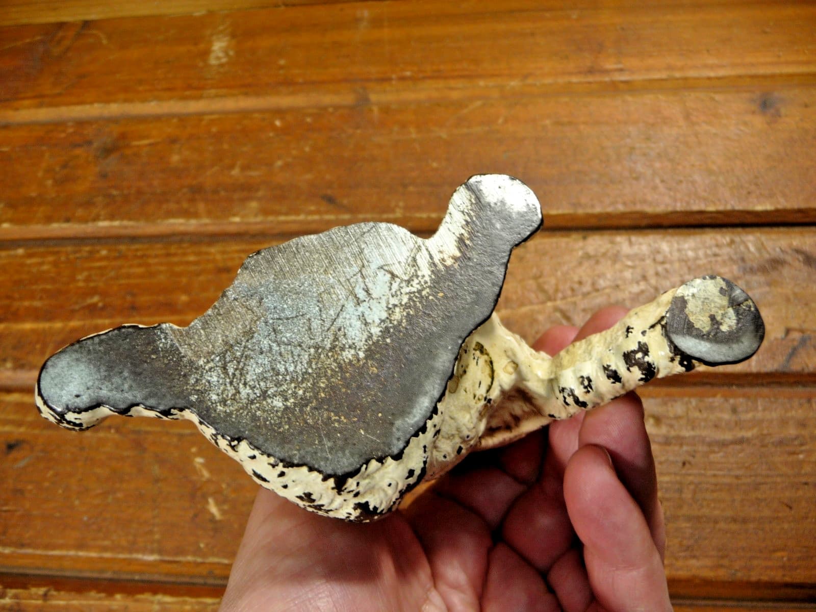 Vintage Cast Iron Fox Terrier Sitting White & Black 4