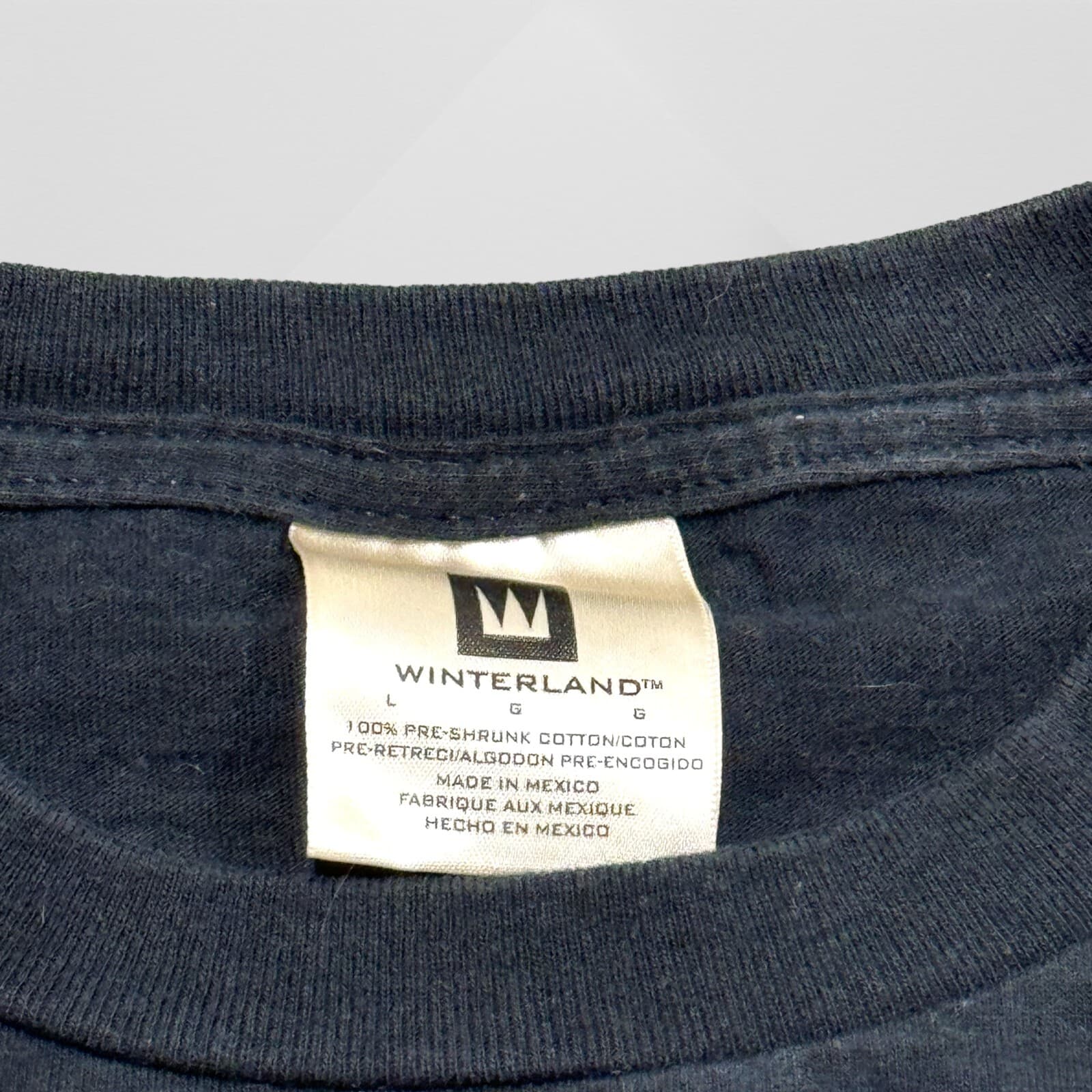 Melissa Etheridge Vintage 1999 Tour Graphic SHIRT Size  L Large 2