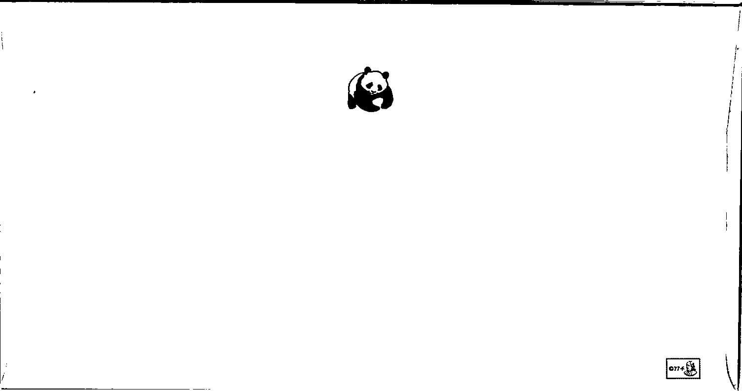 FDC Botswana - Bat-Eared Fox Diminishing Species Of. Comm. Stamp 1977 - A00063 2