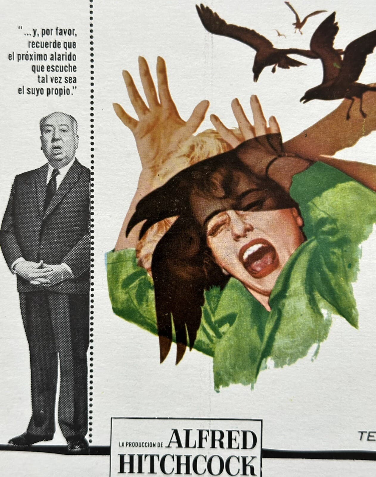 THE BIRDS TIPPI HEDREN ALFRED HITCHCOCK MEXICAN LOBBY CARD 1963 UNUSED 4