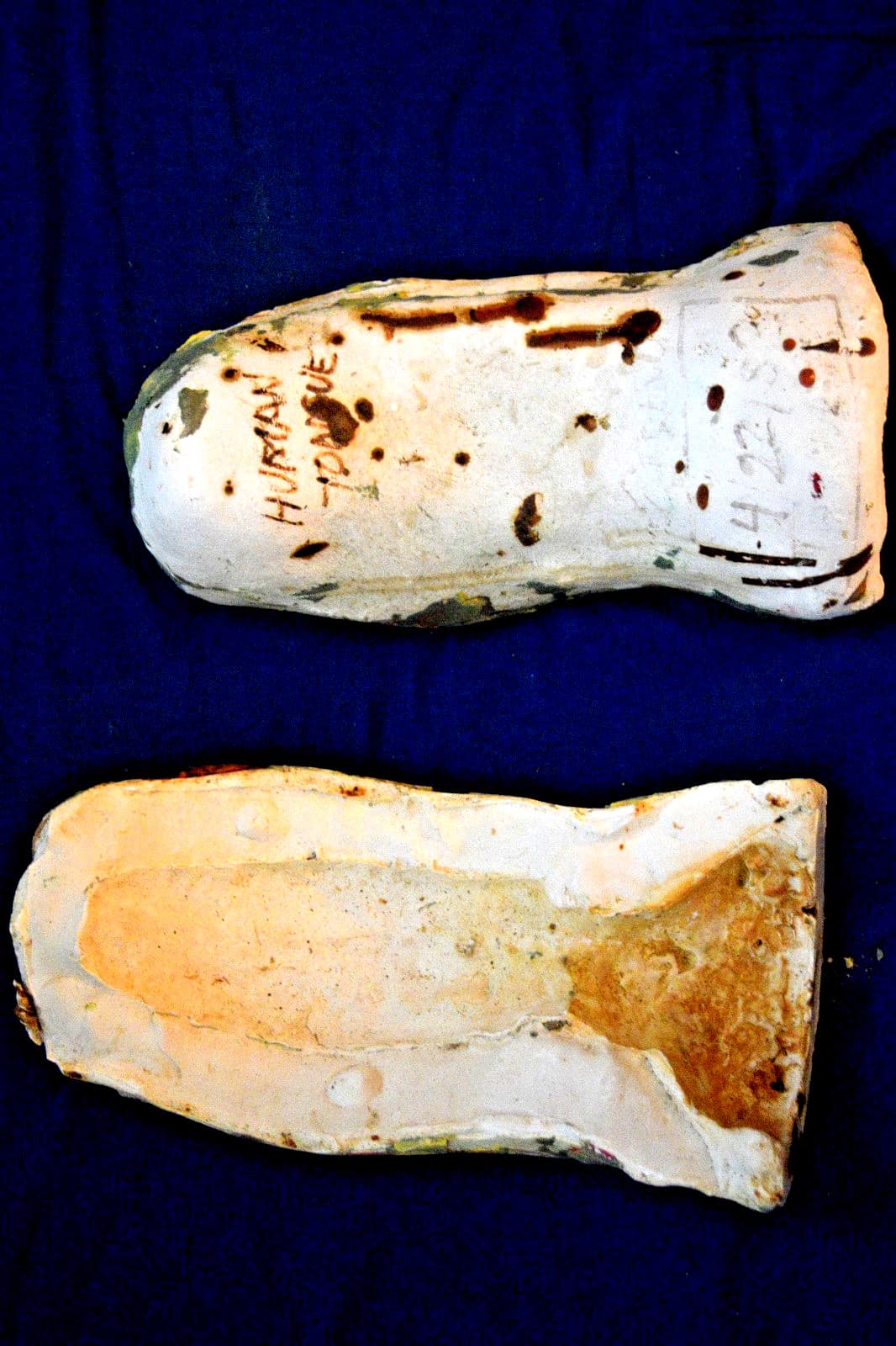 HUMAN TONGUE 1983  original horror movie studio mold by Ed French in the 1980s