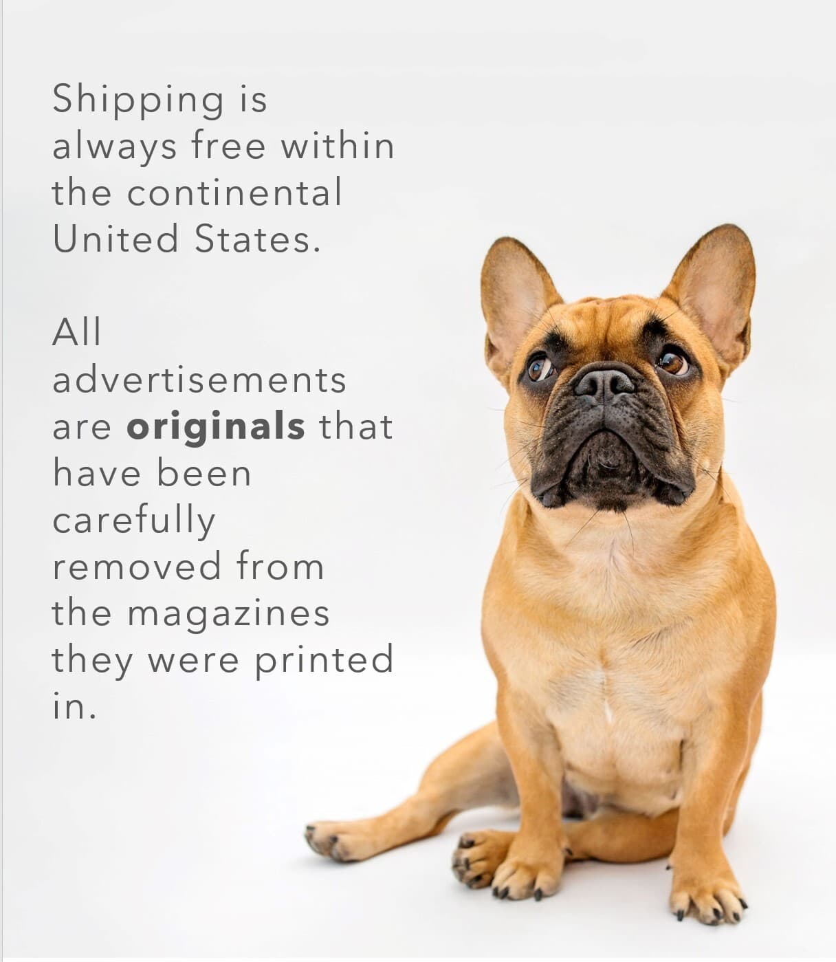 1986 Isuzu Trooper II Red Japanese Swiss Army Knife Original Color Print Ad 2