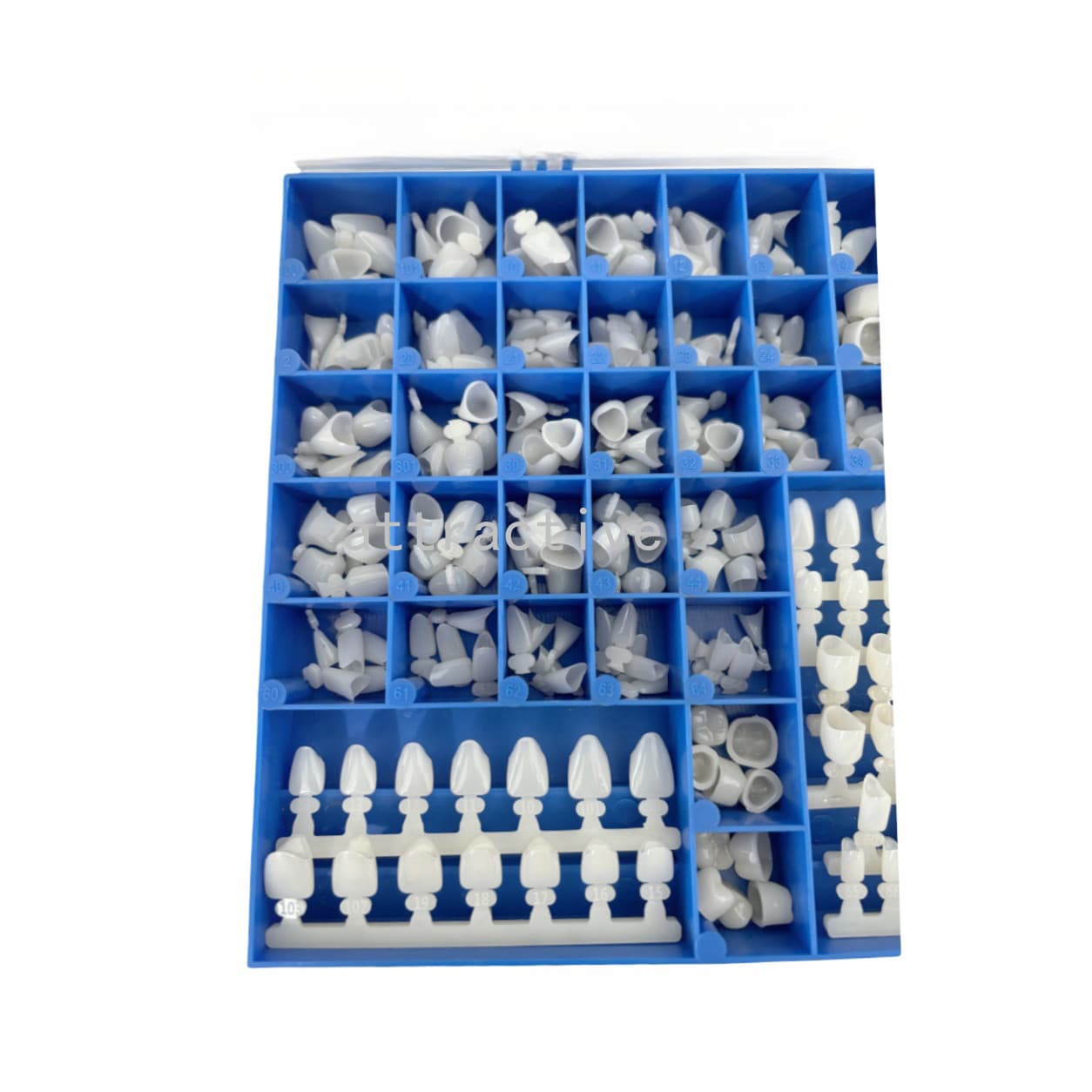 390Pcs Temporary Dental Crowns 66Size Crown Mold Guides Premolar Molars Anterior 5