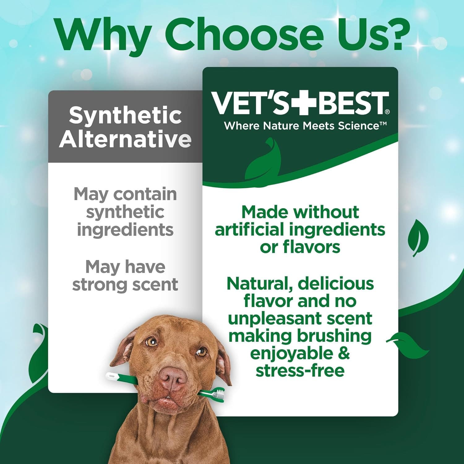 Vet’S Best Enzymatic Dog Toothpaste – Vet Formulated Dental Gel for Teeth Cleani 2