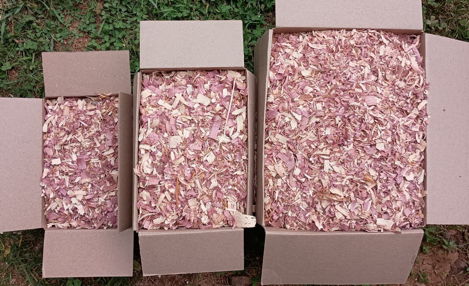 Red Cedar Shavings Pet Bedding Fresh Dry Natural MULTIPLE SIZES 3