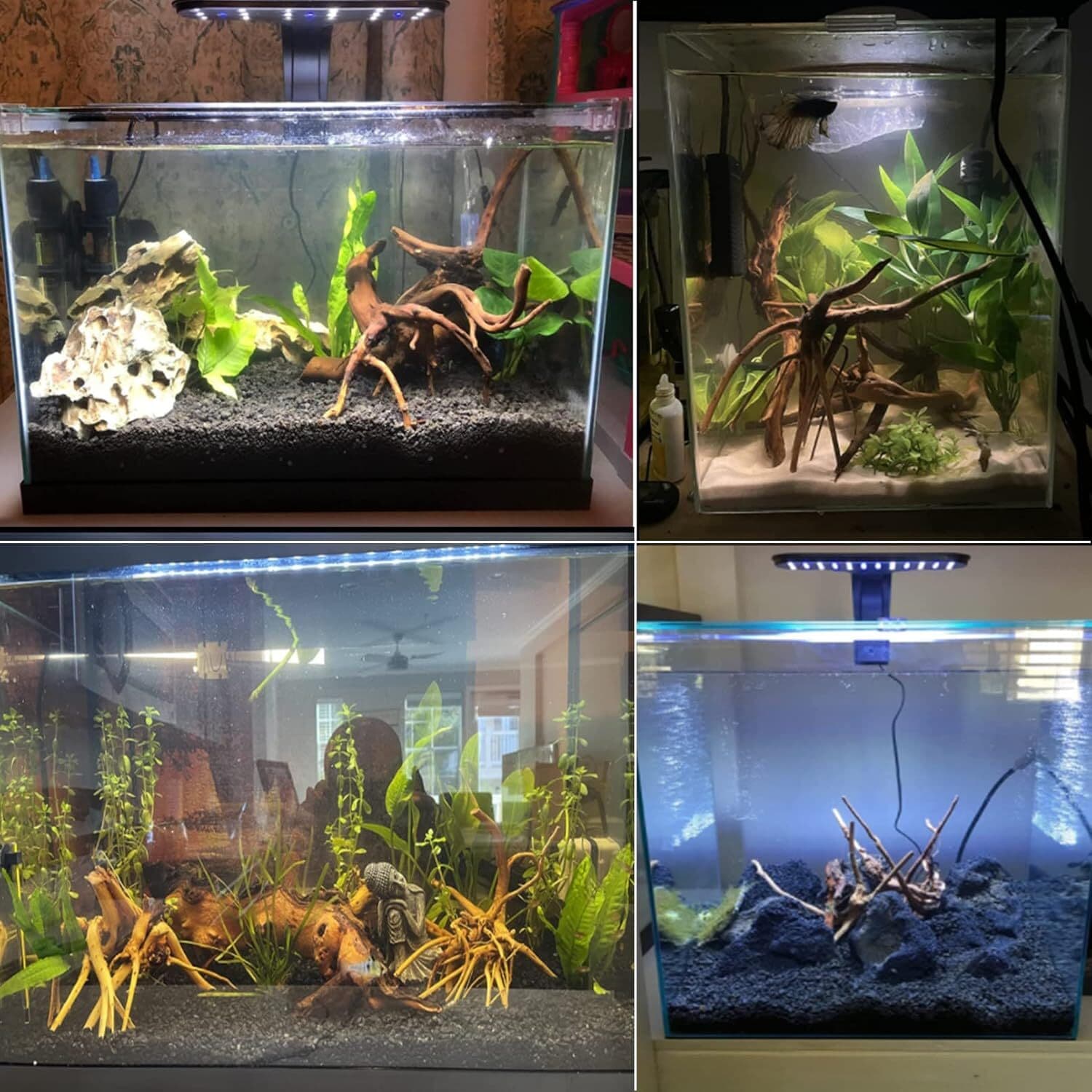 Aquarium Driftwood Natural Wood Reptile Branch Fish Tank Plant Stump Ornament 3