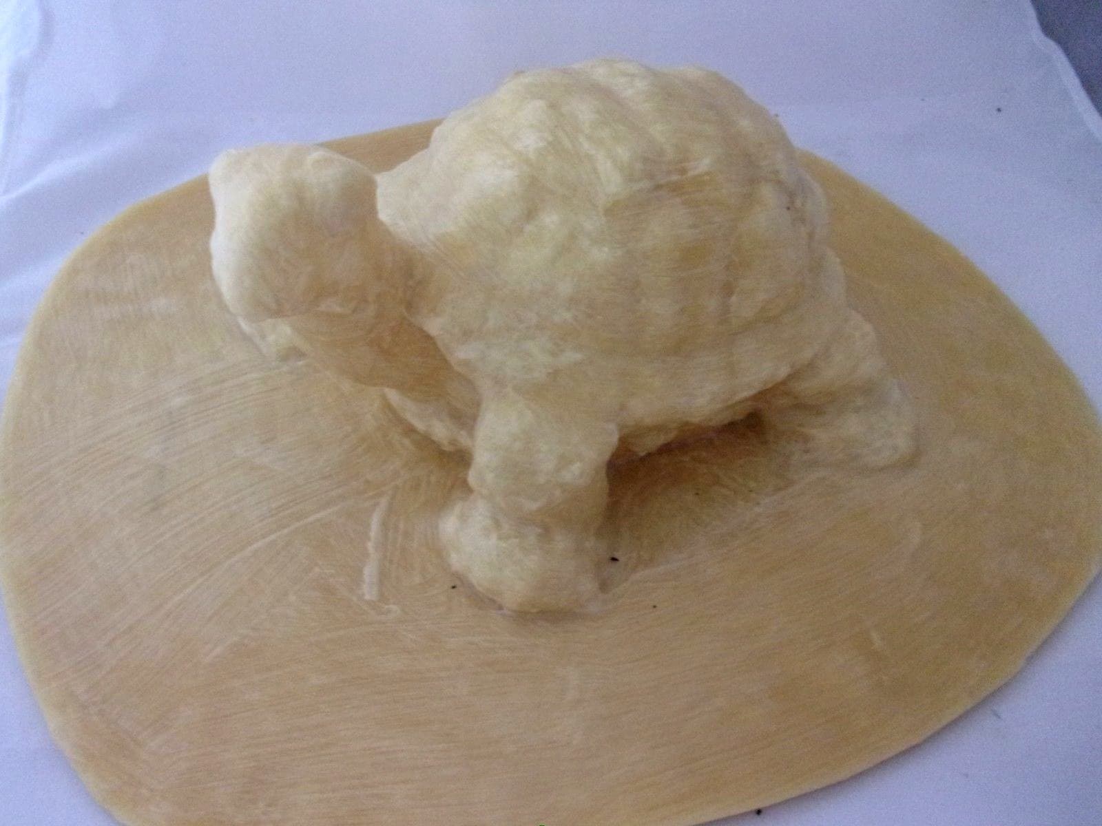 Latex turtle w/ plastic backup realistic turtle mold 11"L x 8" W x 5"H at head 3