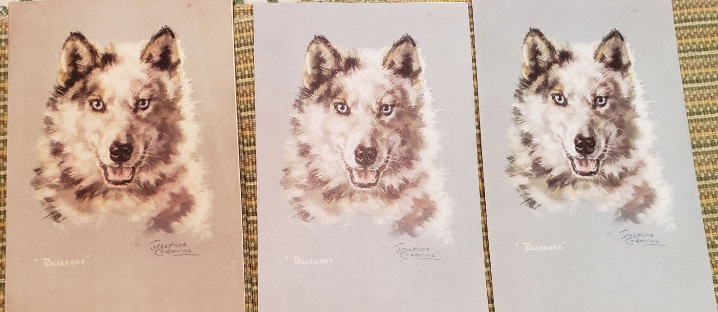 1941 SS Alaska Cruise Lines 22 Husky Sled Dog Art Cards Menu Joseph  Crumrine 3