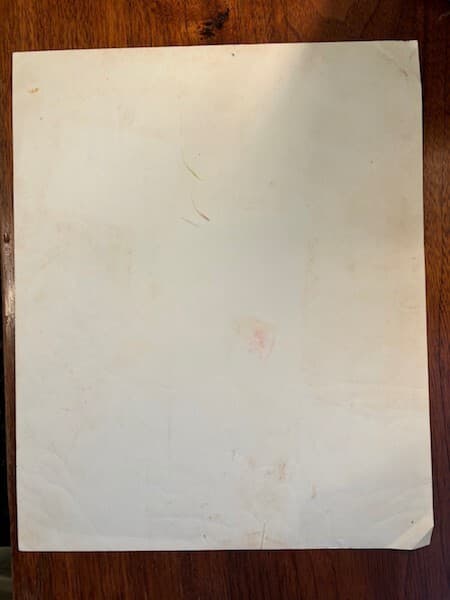 EXCEPTIONALLY RARE VINTAGE UNSIGNED "MUSKATEER" PHOTO OF ANNETTE FUNICELLO  3