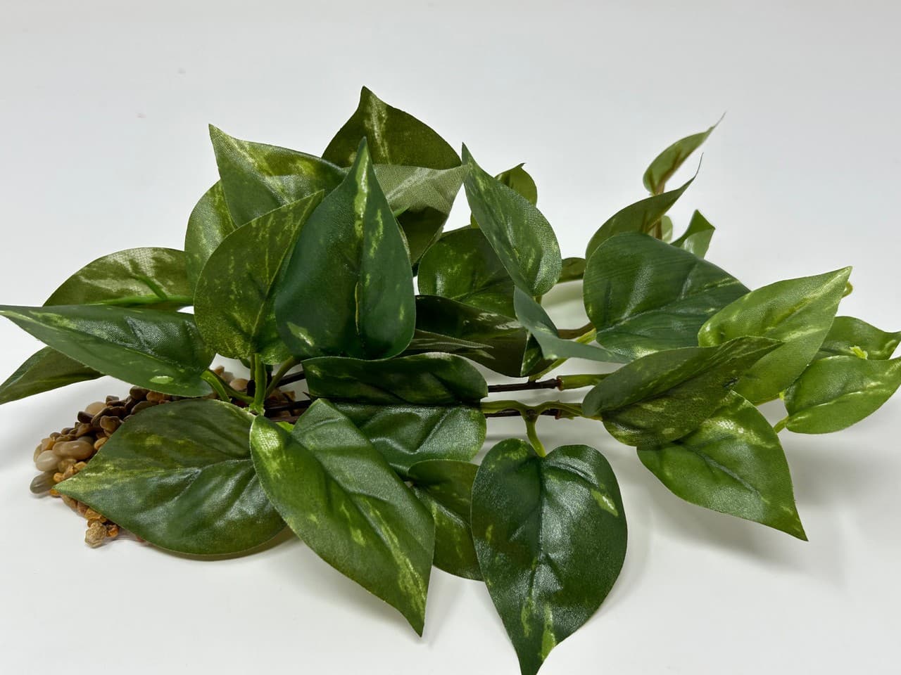 8" LONG, LOW Green/White POTHOS Bush, soft silk aquarium plant, stone base, Gold 2