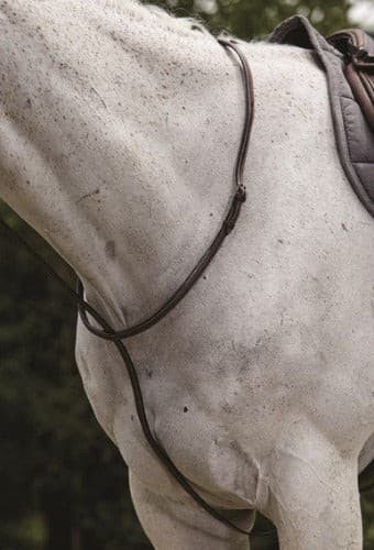 Collegiate Raised Standing Martingale II