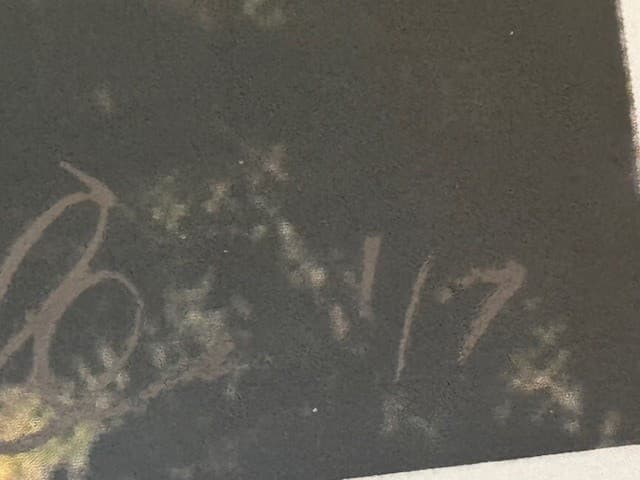 Cody Jinks Autographed Lithograph Poster 1 of 7 - Texas Gruene Hall 17x11 4