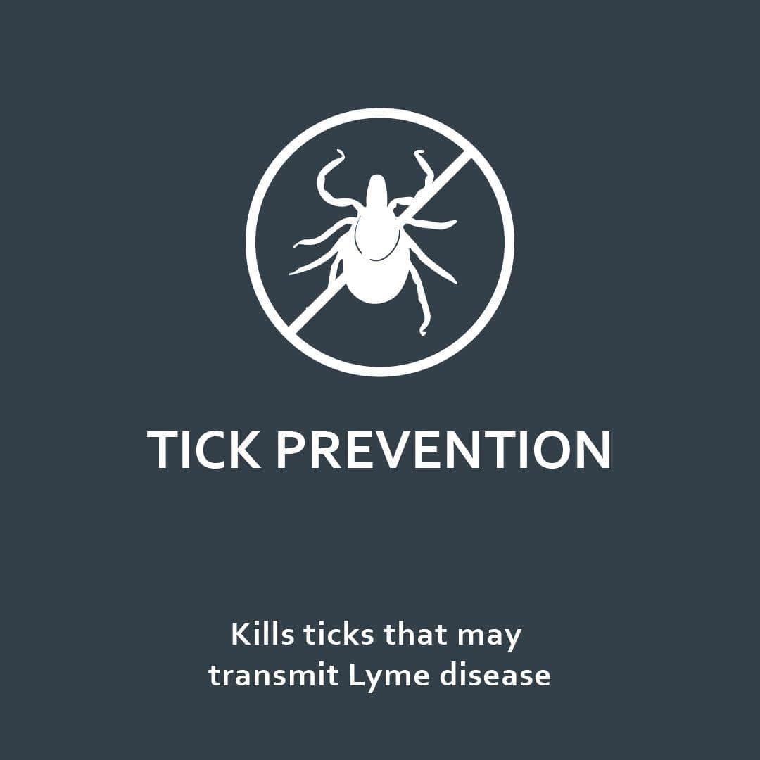 6 Doses Flea And Tick Lice Prevention & Treatment Drops Topical Medicine For Cat 4