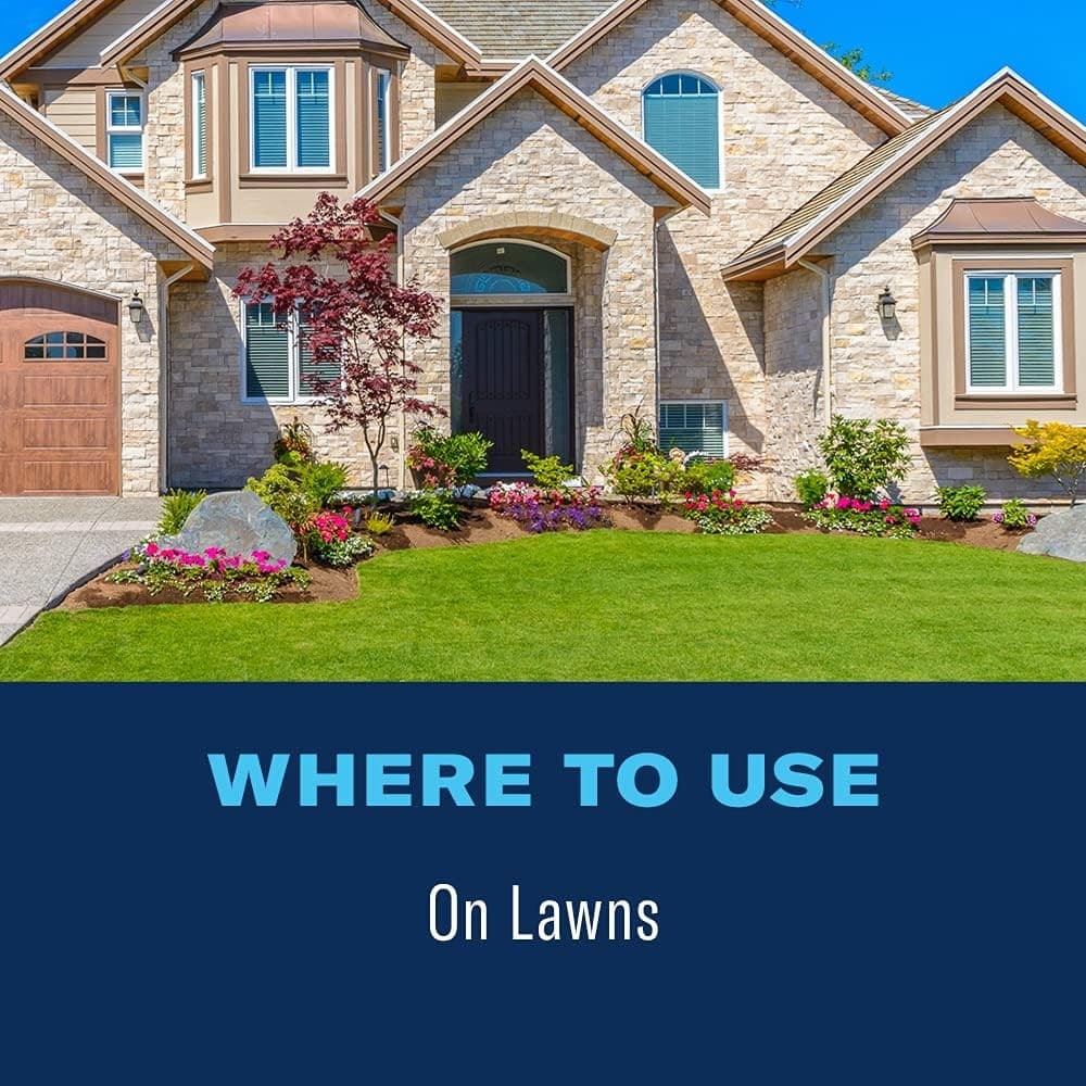 BioAdvanced 24 Hour Grub Killer Plus Granules – Powerful Lawn Insect Control for 5