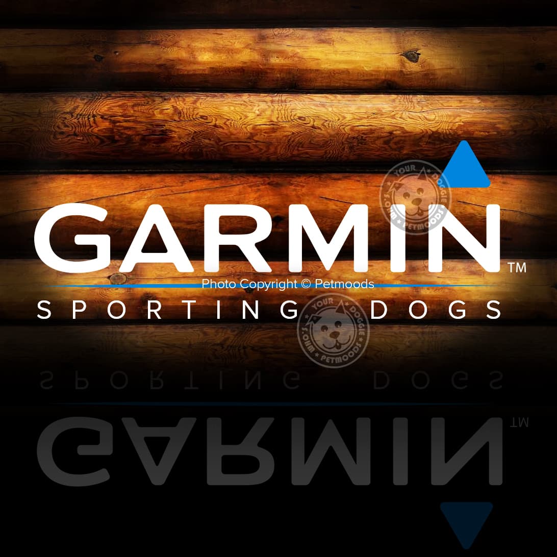 Garmin Delta XC / Delta Series Charging Clip Receiver Dog Collar 010-11890-00 6