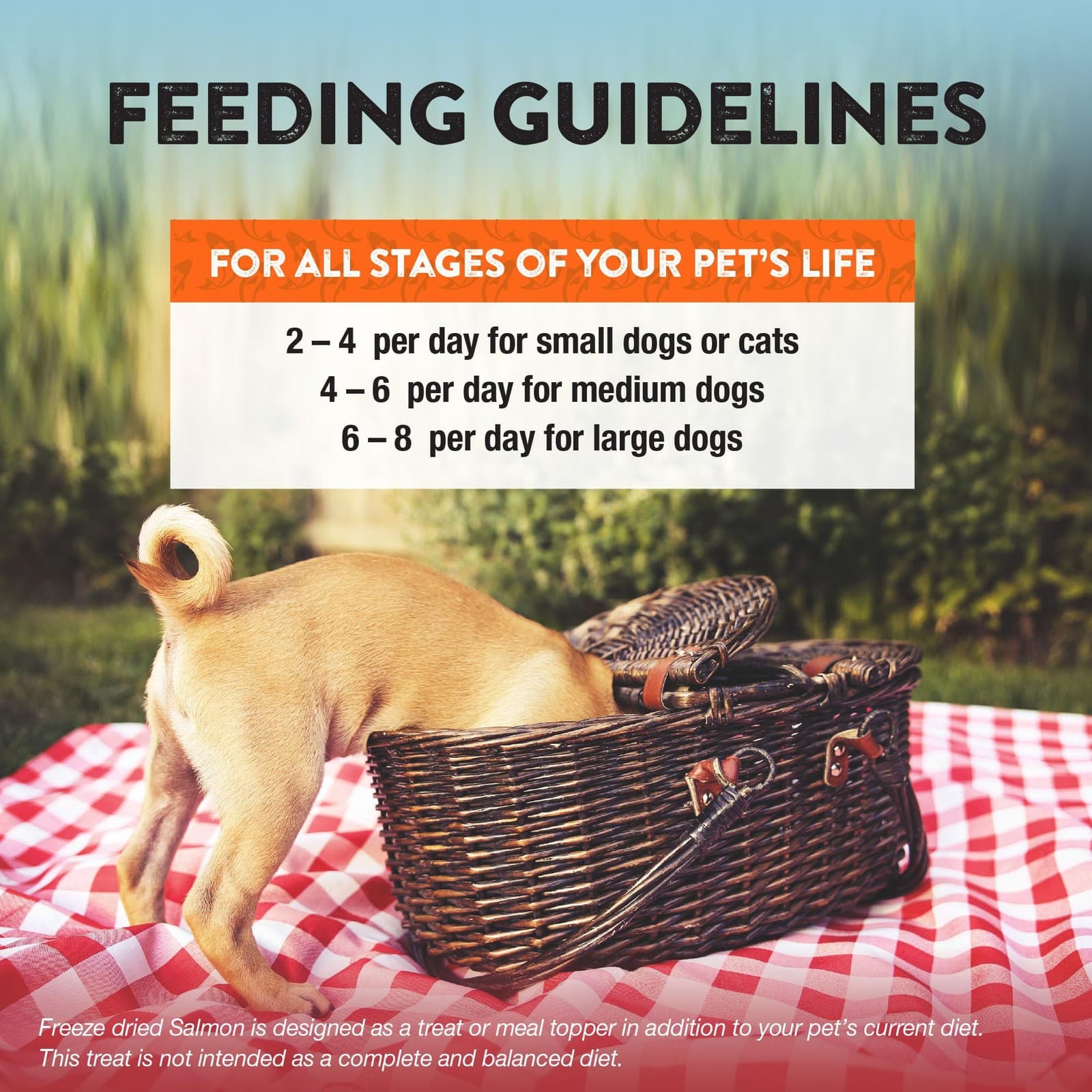 Northwest Naturals Raw Rewards Freeze-Dried Salmon Treats for Dogs and Cats -... 4