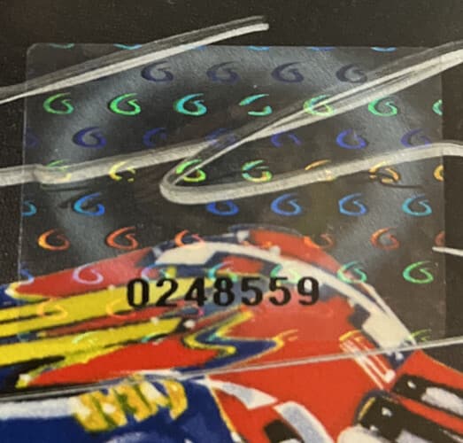 JEFF GORDON Dual Signed Artist Sam Bass Lithograph GORDON HOLO DUPONT NASCAR 5