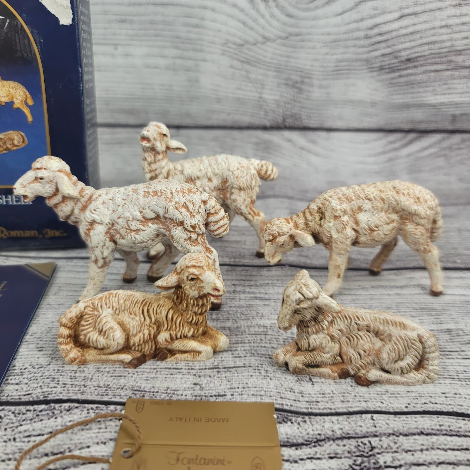 Fontanini White Sheep 5” Collection Figures Christmas Nativity 72539 Box Card 2