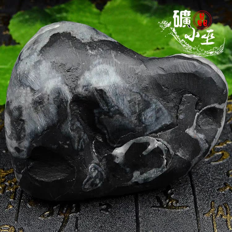 RARE prehistoric Jurassic Period invertebrate Stringocephalus fossil 4