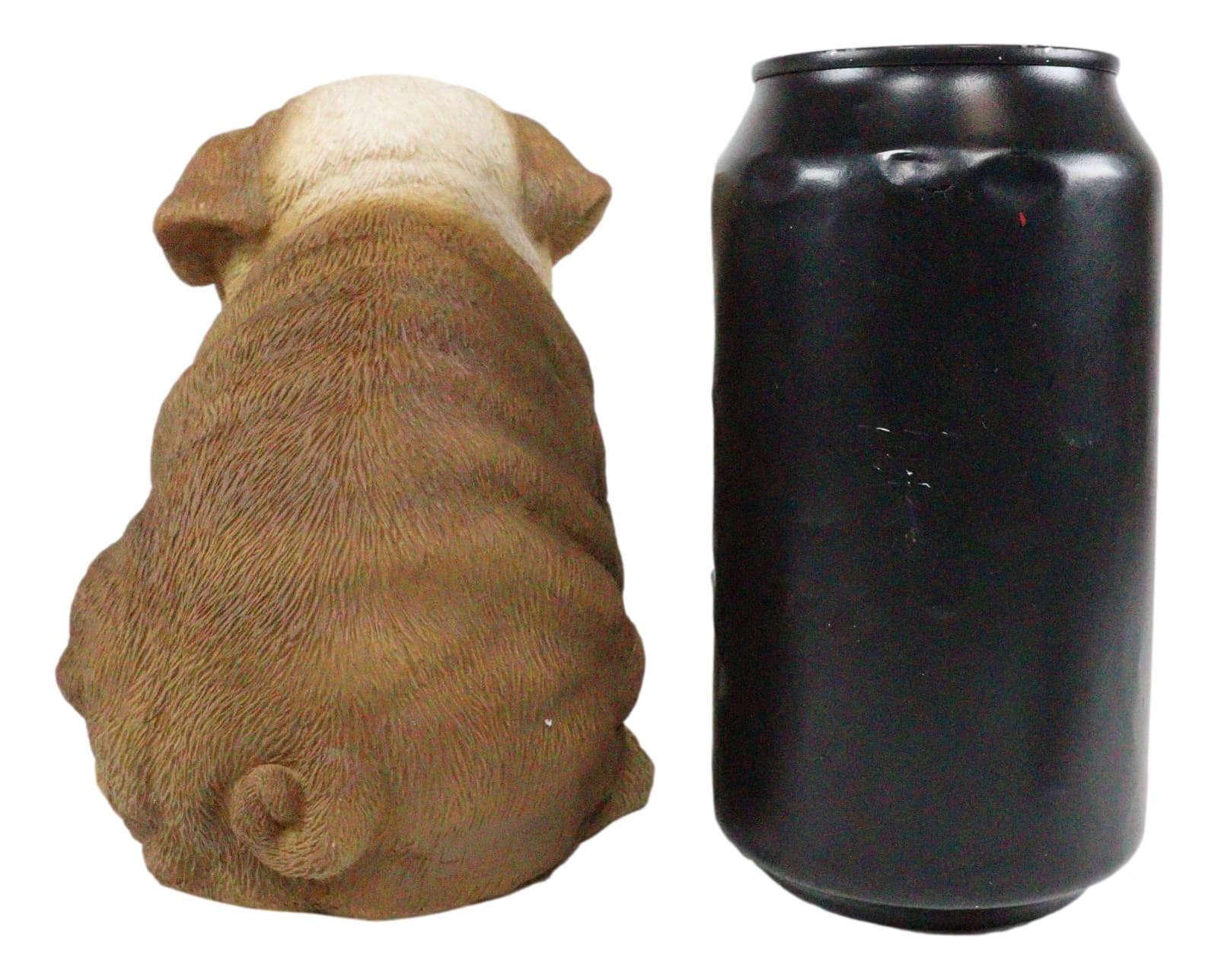 Ebros Lifelike Sitting Adorable Bulldog Puppy Dog Figurine 5"H Pet Pal Puppies 5