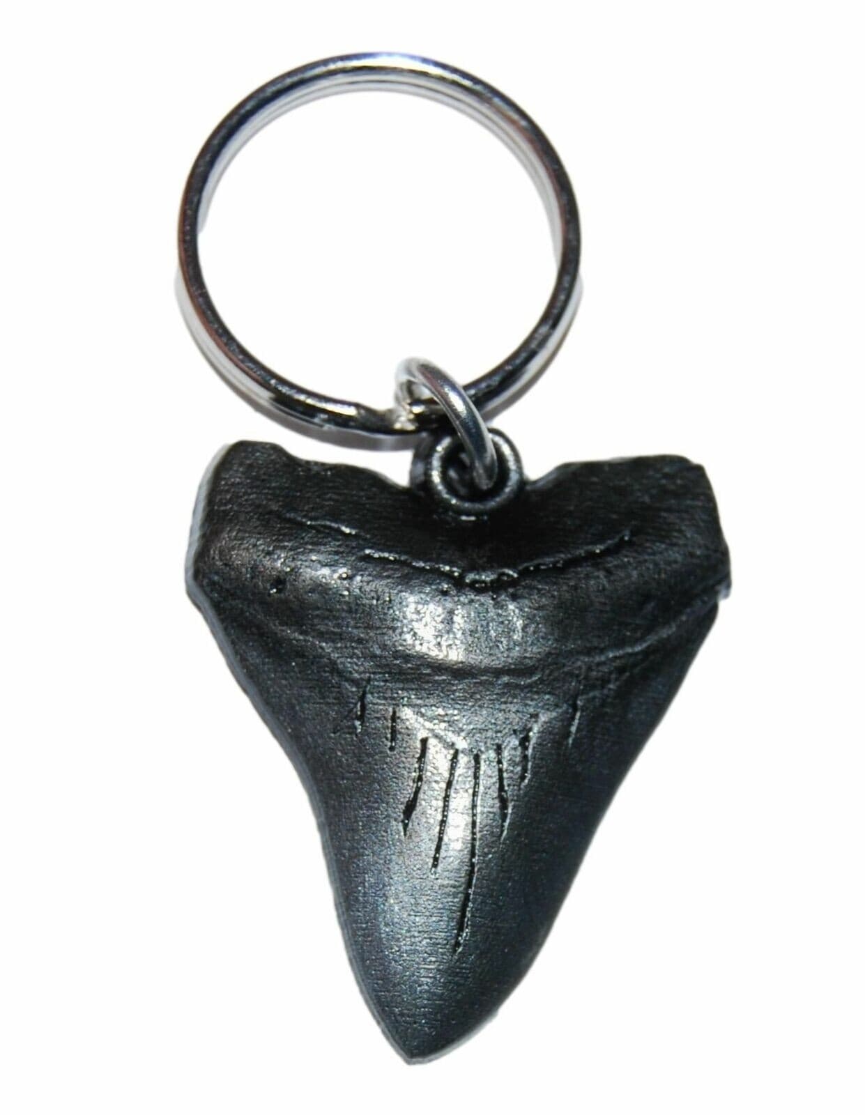 Megalodon Shark Tooth Metal Keychain (Fossil Replica) 2