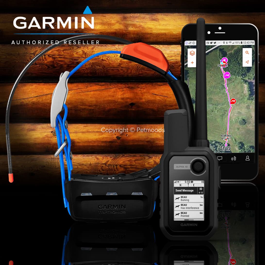 Garmin Alpha 10 Bundle T5X Dog Device GPS Collar Tracking Only 2