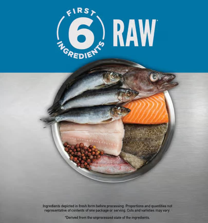 ORIJEN Six Fish Grain-Free Poultry Free High-Protein Dry Dog Food, 13-lb bag 5