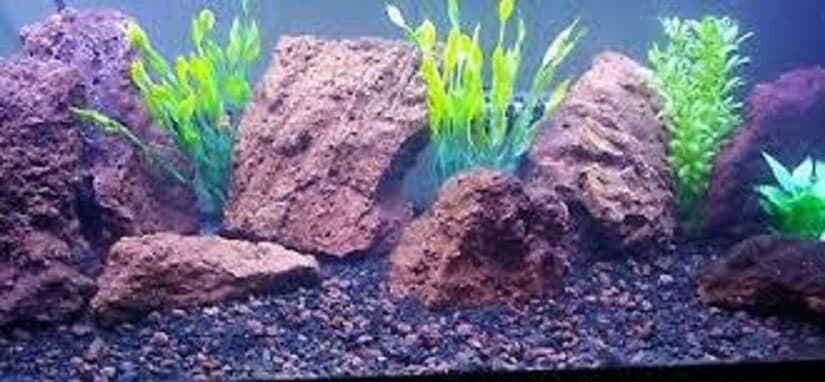 4 liters Red Lava Rock 1/2"- 2" Aquarium Plant Substrate Fish Tank Aquascape 6