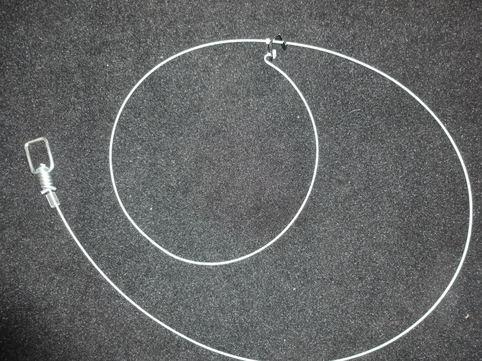 1 DOZEN LOADED SOUTHERN SNARES 60" 5/64 MICRO LOCK TRAPPING COYOTE SNARE 2