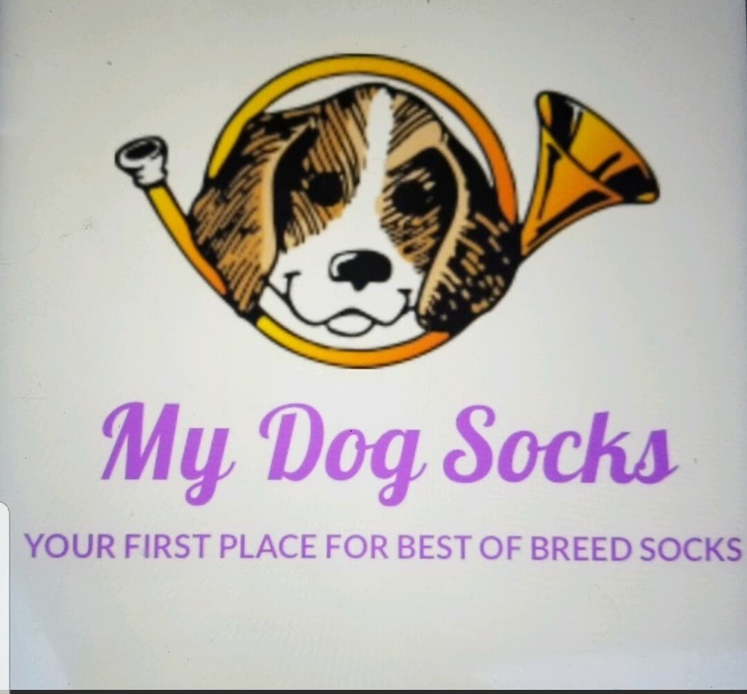 New English Springer Spaniel Puppy Dog Ladies Novelty Socks Free Shipping! 4