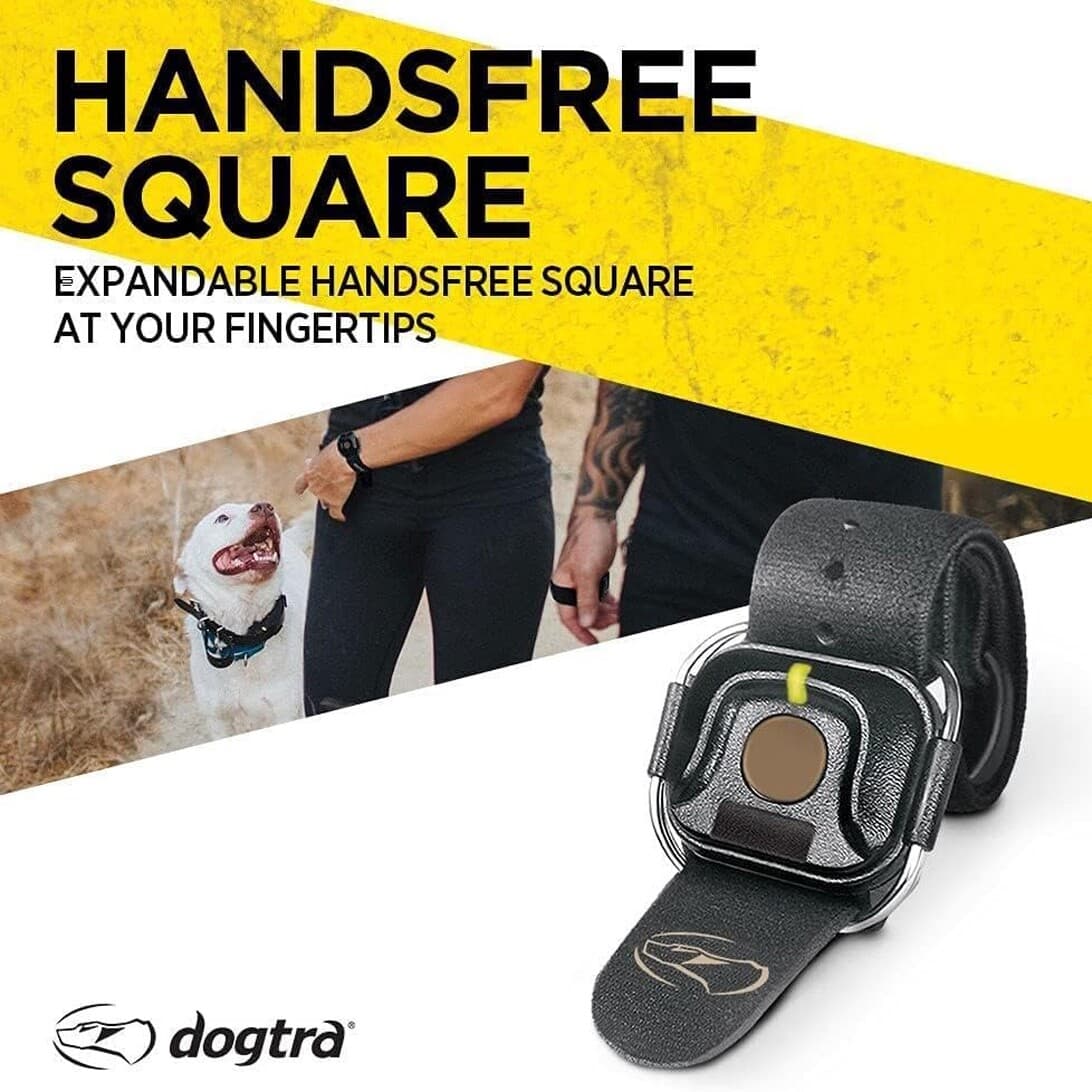 Dogtra HANDSFREE Square Remote Dog Training Expandable Device 1900x Series, 280x 5