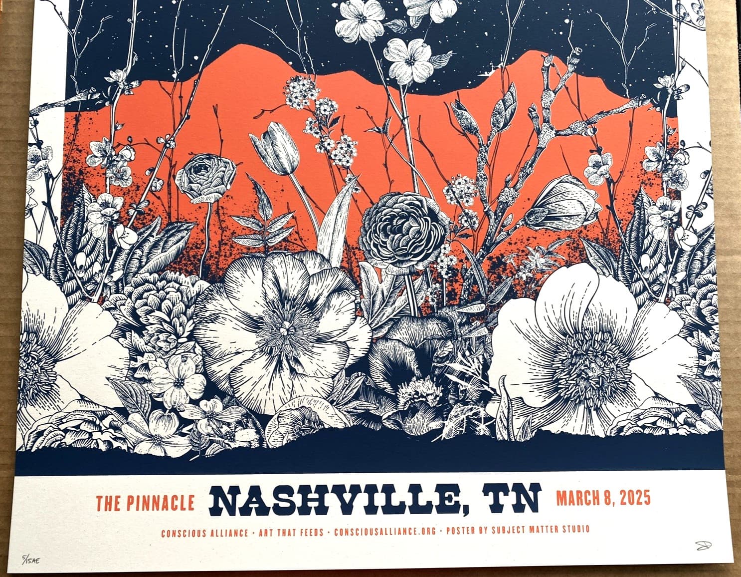 AUTHENTIC TURNPIKE TROUBADOURS POSTER Nashville TN March 8 2025 AP S/N #/15 3