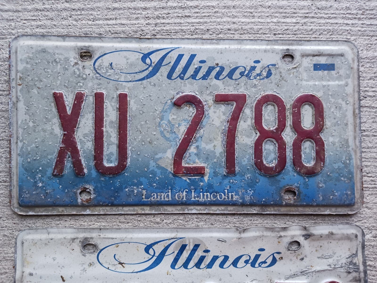 10 Illinois Roadkill License Plates Ranging from Years 2016 and Up 4
