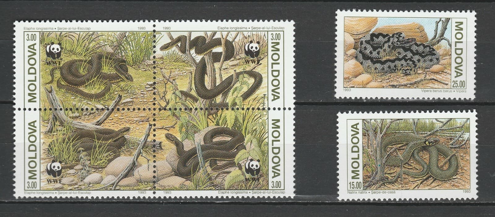 Moldova 1993 Fauna Reptiles Snakes 6 MNH stamps