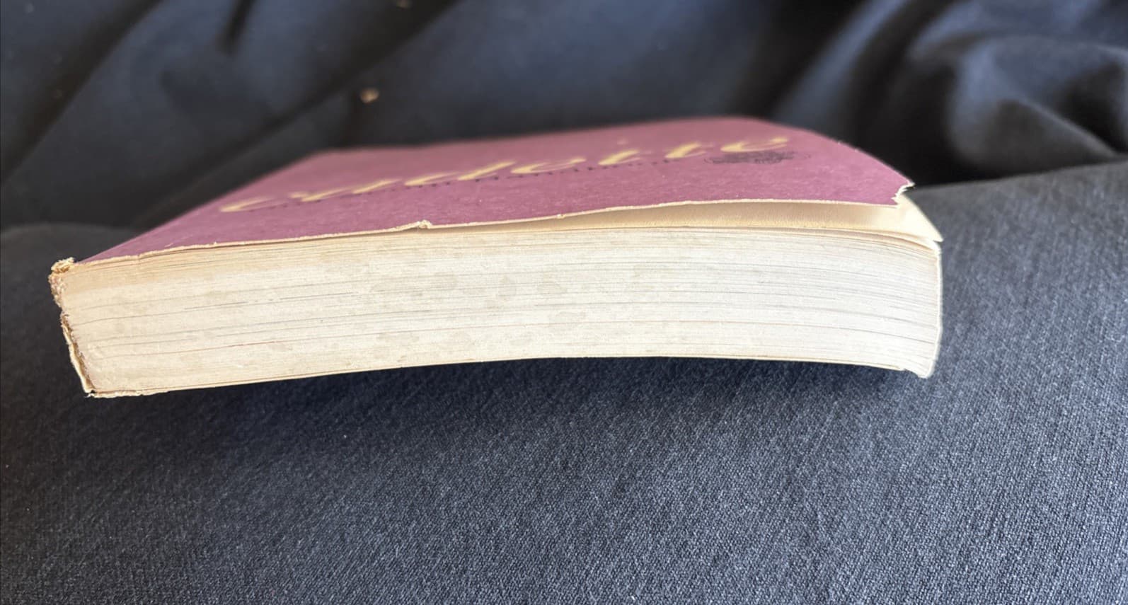 VINTAGE GIRL SCOUT - 1963 CADETTE GIRL SCOUT HANDBOOK - paperback 6