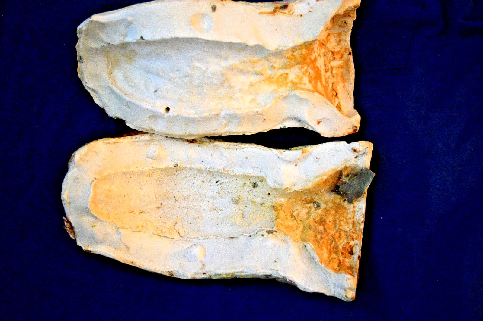 HUMAN TONGUE 1983  original horror movie studio mold by Ed French in the 1980s 3