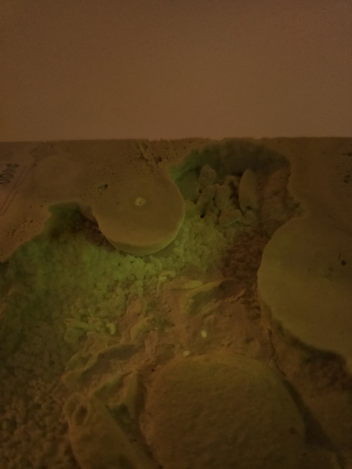 Travertine crab fossil 6