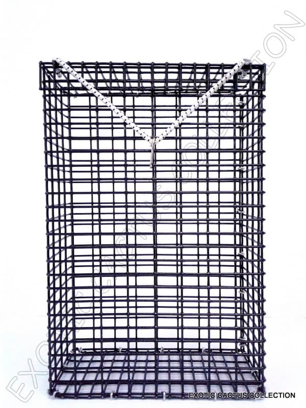 CHUM BOX marine grade pvc coating black wire mesh pot fishing bait cage 12x8x4
