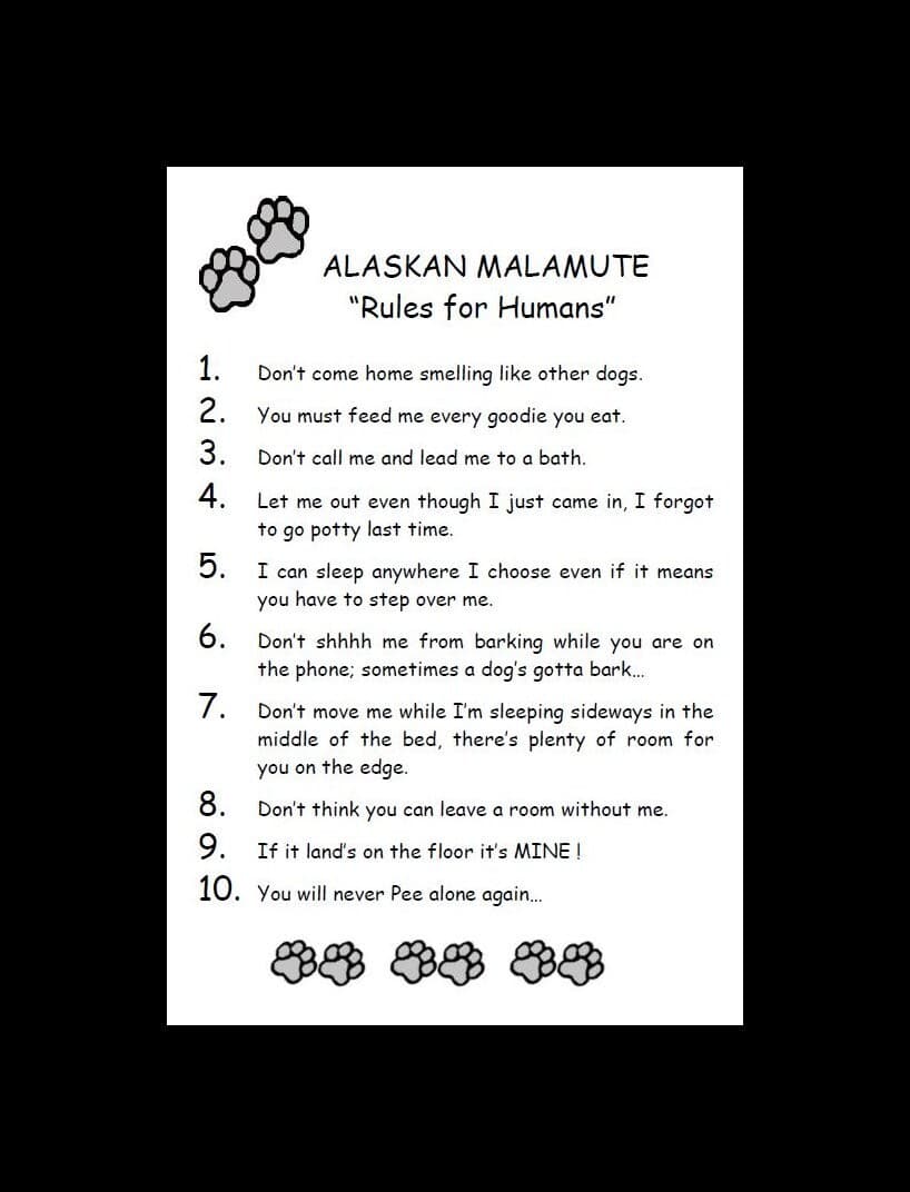 Alaskan Malamute "Rules for Humans" - CUSTOM MATTED - Dog Art Print : GIFT 2