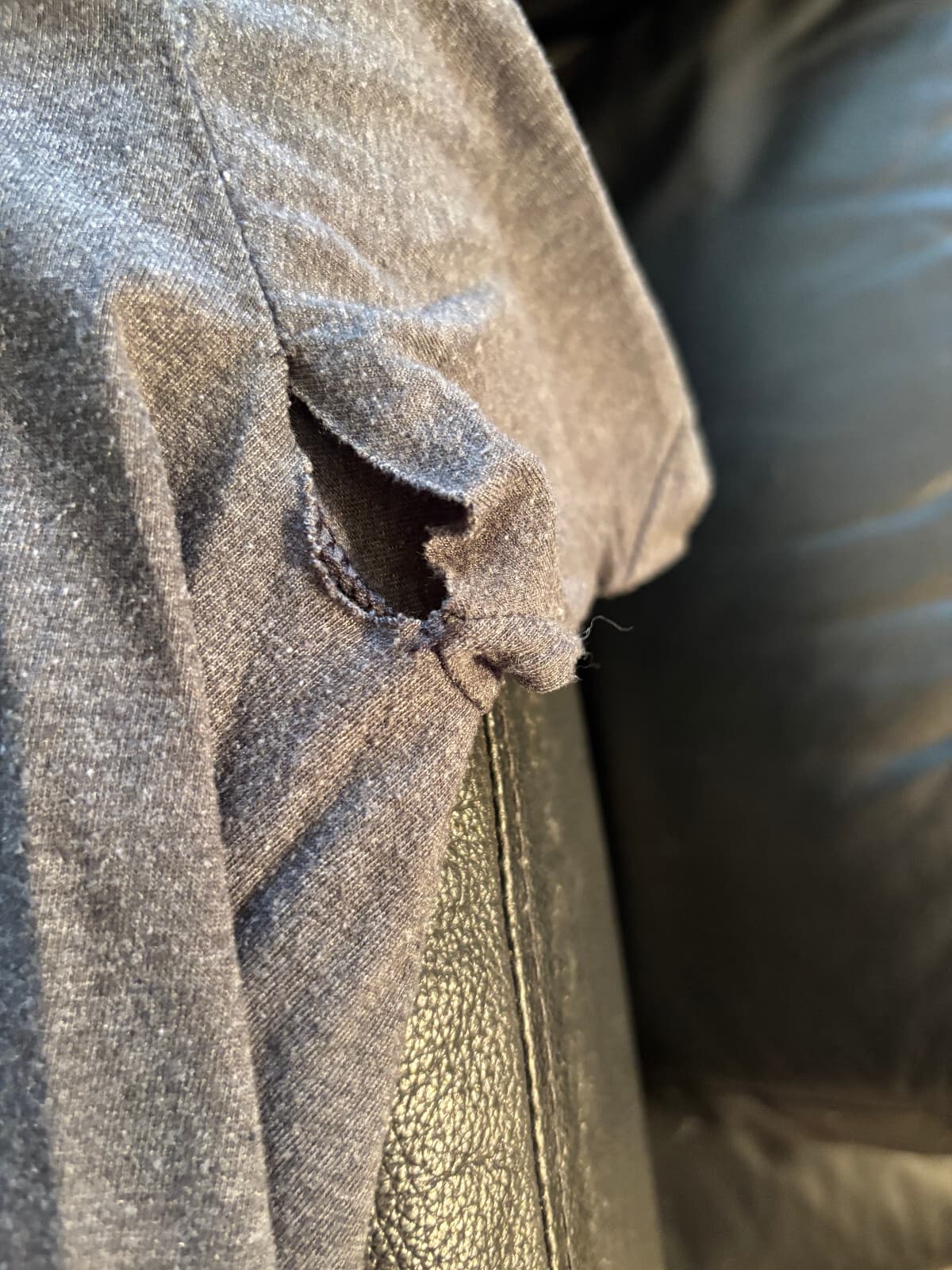 BECK T SHIRT PSYCH ART LLAMA Large check pictures Great art is perfect 3