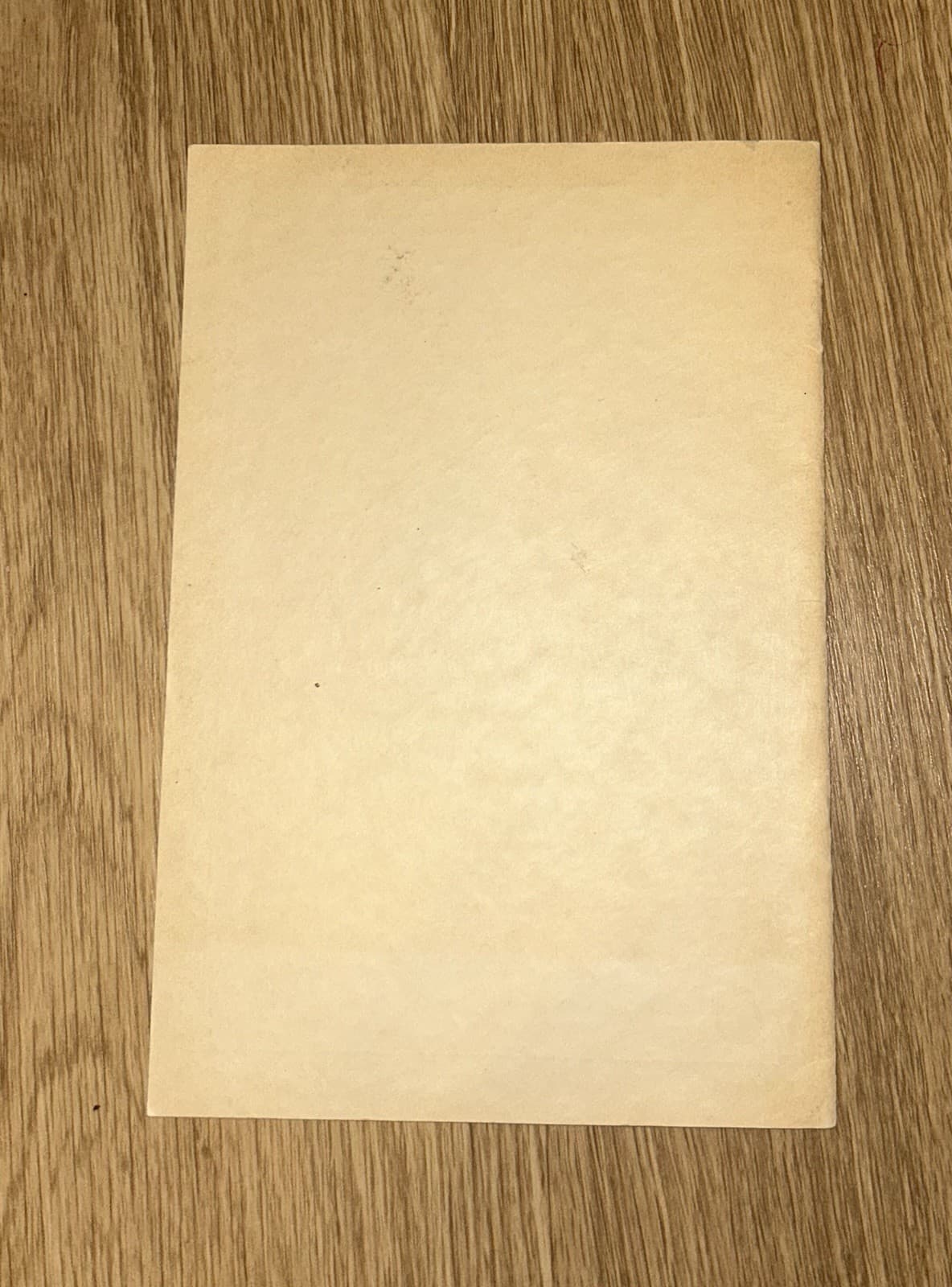 Denver Mayan Theater Opening Night Program November 20, 1930 4